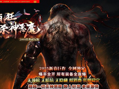 3-322最新独家新疯狂杀神恶魔专属神器无限刀单职业传奇版本-通天神塔-ESP插件-GOM引擎